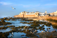 Morocco 2014